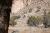 2018-01-16 to 2018-01-20 Bandolier and Jemez NM 008